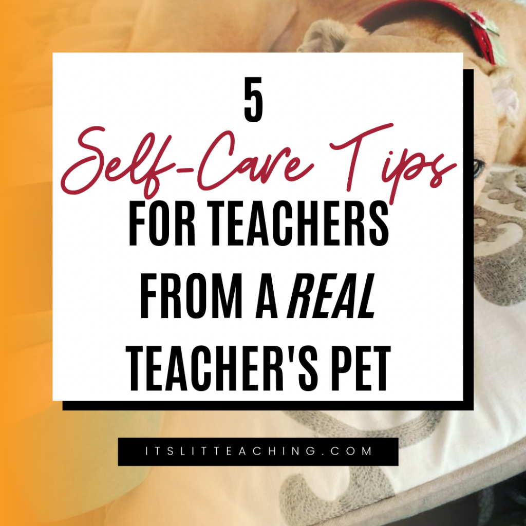 5 Self-care Tips for Teachers from a Real Teacher&rsquo;s Pet